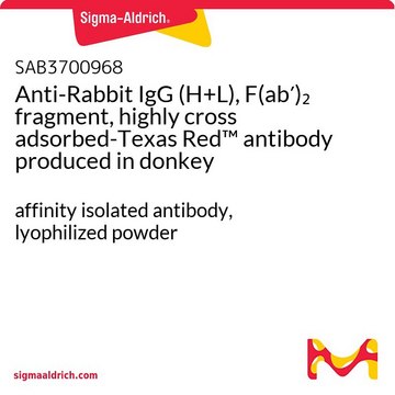 Anti-Rabbit IgG (H+L), F(ab&#8242;)2 fragment, highly cross adsorbed-Texas Red&#8482; antibody produced in donkey affinity isolated antibody, lyophilized powder