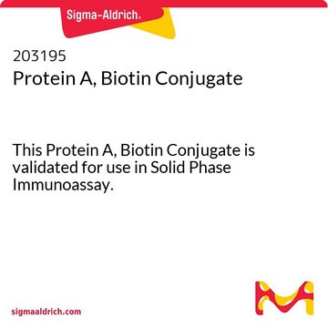 Protein&nbsp;A, Biotin-Konjugat This Protein A, Biotin Conjugate is validated for use in Solid Phase Immunoassay.