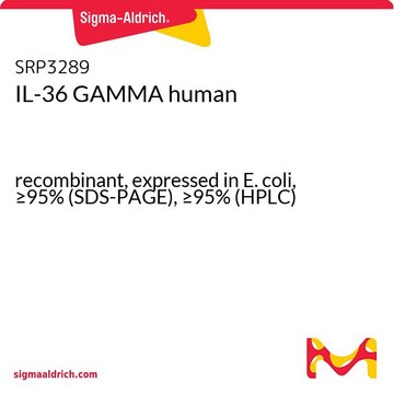 IL-36 GAMMA human recombinant, expressed in E. coli, &#8805;95% (SDS-PAGE), &#8805;95% (HPLC)