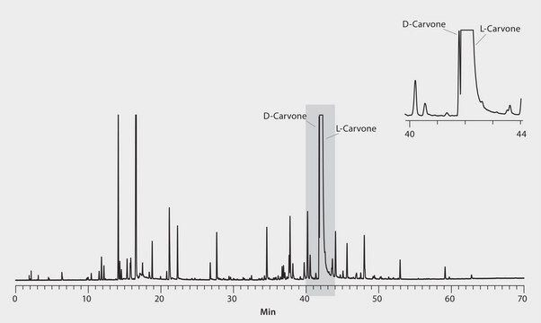 GC Analysis of D &amp; L-Carvone Enantiomers in Native Spearmint Essential Oil (Spiked with D-Carvone Enantiomer) on Astec&#174; CHIRALDEX&#8482; G-TA suitable for GC