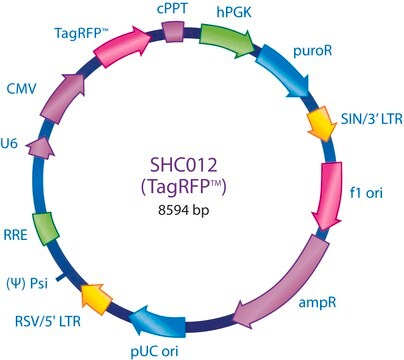 MISSION&#174; pLKO.1-puro-CMV-TagRFP&#8482; Positive Control Plasmid DNA Contains a gene encoding TagRFP