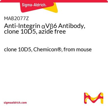 Anticorpo anti-integrina &#945;V&#946;6, clone 10D5, privo di azoturi clone 10D5, Chemicon&#174;, from mouse