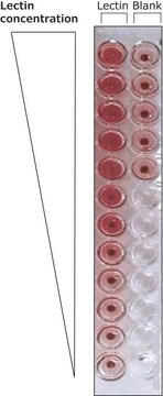 レクチン ハリエニシダ(Ulex europaeus)由来 FITC conjugate, lyophilized powder