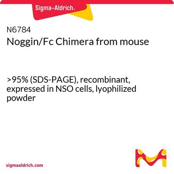 Noggin/Fc Chimera from mouse &gt;95% (SDS-PAGE), recombinant, expressed in NSO cells, lyophilized powder