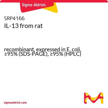 IL-13 from rat recombinant, expressed in E. coli, &#8805;95% (SDS-PAGE), &#8805;95% (HPLC)