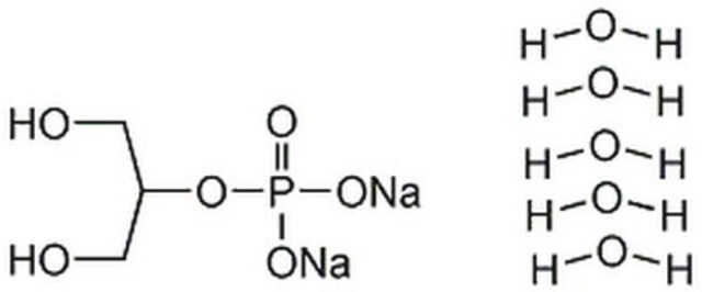 &#946;&#946;-Glycerophosphat, Dinatriumsalz, Pentahydrat A phosphate group donor in matrix mineralization studies that acts as a protein phosphatase inhibitor.