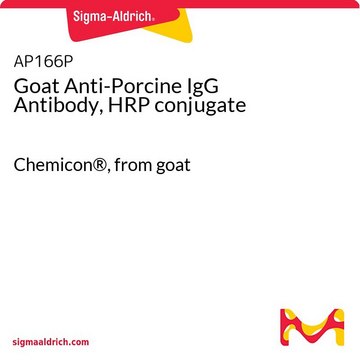 山羊抗猪IgG抗体，HRP偶联 Chemicon&#174;, from goat