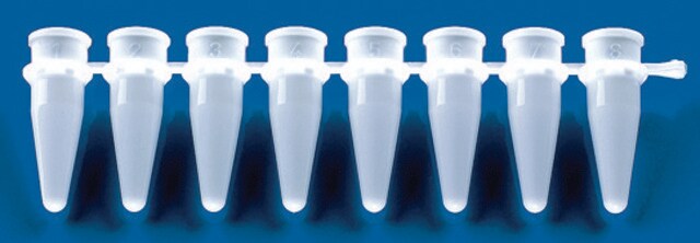 BRAND&#174; Streifen mit 8&nbsp;PCR-Röhrchen colorless, attached caps