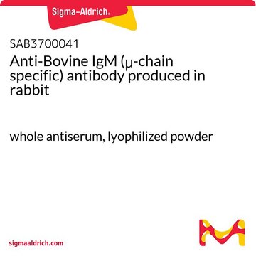 Anti-Bovine IgM (&#956;-chain specific) antibody produced in rabbit whole antiserum, lyophilized powder