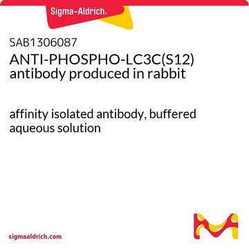 ANTI-PHOSPHO-LC3C(S12) antibody produced in rabbit affinity isolated antibody, buffered aqueous solution