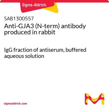 Anti-GJA3 (N-term) antibody produced in rabbit IgG fraction of antiserum, buffered aqueous solution