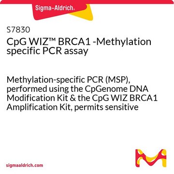 CpG WIZ&#8482; BRCA1 -Methylation specific PCR assay Methylation-specific PCR (MSP), performed using the CpGenome DNA Modification Kit &amp; the CpG WIZ BRCA1 Amplification Kit, permits sensitive detection of altered DNA.