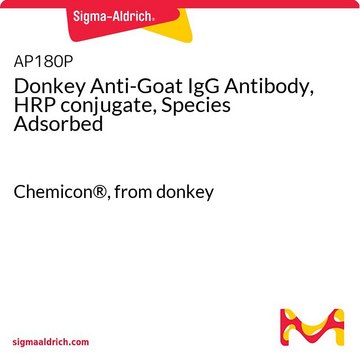 Anticorpo di asino anti-IgG di capra, coniugato con HRP, preadsorbito Chemicon&#174;, from donkey