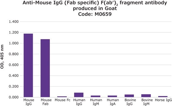 抗マウスIgG (Fab特異的) F(ab&#8242;)2 フラグメント ヤギ宿主抗体 affinity isolated antibody