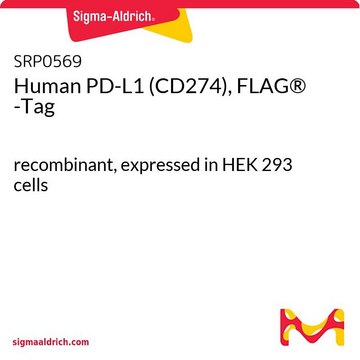 Ludzki PD-L1 (CD274), 900 -Tag recombinant, expressed in HEK 293 cells