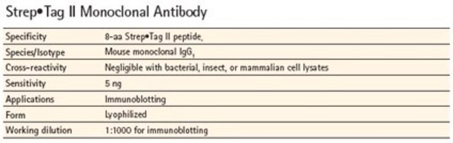 StrepTag&#8482; II monoklonaler Antikörper Novagen&#174;