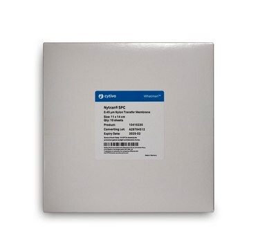 Whatman&#174; Nytran&#8482; SuPerCharge (SPC) nylon blotting membranes W × L 11&#160;cm × 14&#160;cm, pore size 0.45&#160;&#956;m, pkg of 10&#160;ea