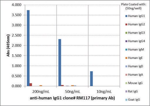 Anti-Human IgG1-Biotin antibody, Rabbit monoclonal recombinant, expressed in HEK 293 cells, clone RM117, purified immunoglobulin