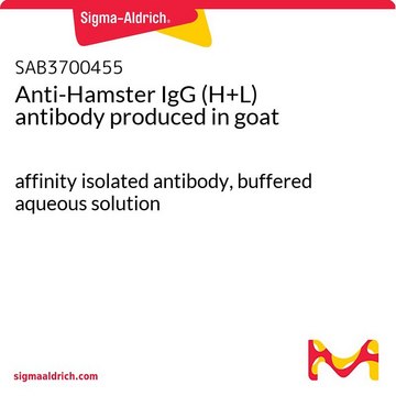 抗-仓鼠IgG（H + L） 山羊抗 affinity isolated antibody, buffered aqueous solution