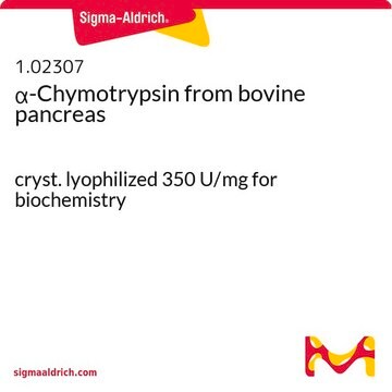 α-Chymotrypsyna z trzustki wołowej cryst. lyophilized 350 U/mg for biochemistry