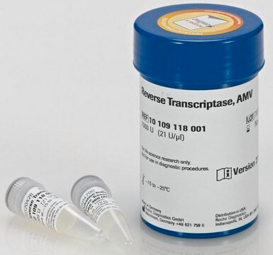 Reverse Transcriptase AMV solution, &gt;50&#160;units/&#956;g protein, suitable for RT-qPCR, suitable for RT-PCR