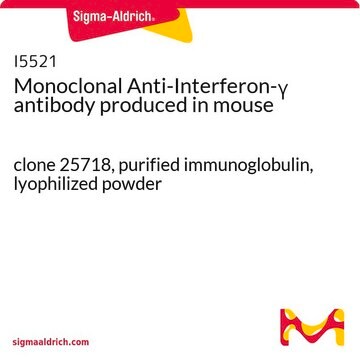 モノクローナル抗インターフェロン&#947;抗体 マウス宿主抗体 clone 25718, purified immunoglobulin, lyophilized powder