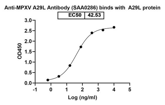 Przeciwciało anty-Monkeypox virus/MPXV A29L (SAA0286)