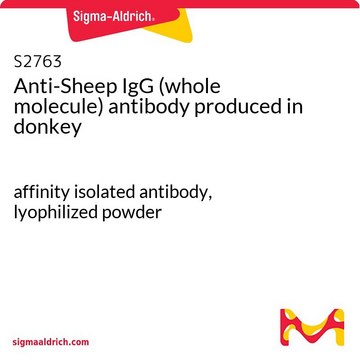 Anti-Sheep IgG (whole molecule) antibody produced in donkey affinity isolated antibody, lyophilized powder