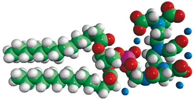 14:0 PE-DTPA 1,2-dimyristoyl-sn-glycero-3-phosphoethanolamine-N-diethylenetriaminepentaacetic acid (ammonium salt), powder