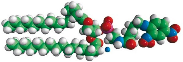 16:0 DNP Cap PE 1,2-dipalmitoyl-sn-glycero-3-phosphoethanolamine-N-[6-[(2,4-dinitrophenyl)amino]hexanoyl] (ammonium salt), chloroform