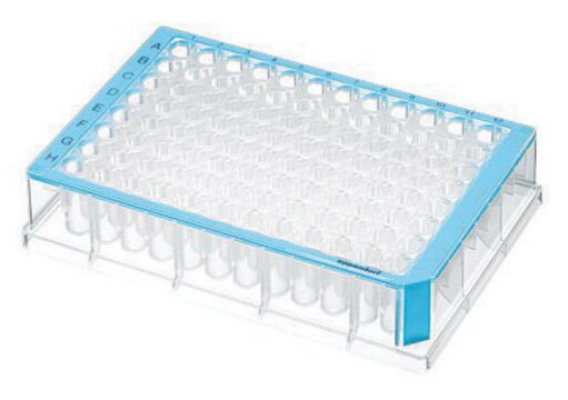 Eppendorf&#174; Deepwell Plate 96/500&#956;L sterile, volume 500&#160;&#956;L, blue border with clear wells, pkg of 40&#160;plates (5 bags x 8 plates)