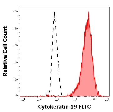 Monoclonal Anti-Cytokeratin 19 FITC produced in mouse