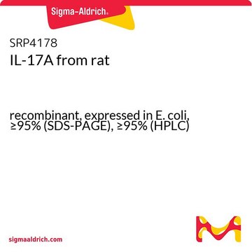 IL-17A from rat recombinant, expressed in E. coli, &#8805;95% (SDS-PAGE), &#8805;95% (HPLC)