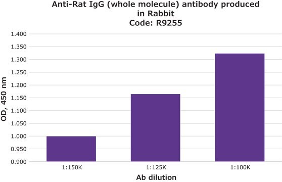 抗 大鼠 IgG（全分子） 兔抗 IgG fraction of antiserum, buffered aqueous solution