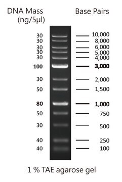 Escalera de ADN DirectLoad&#8482; Plus 1kb