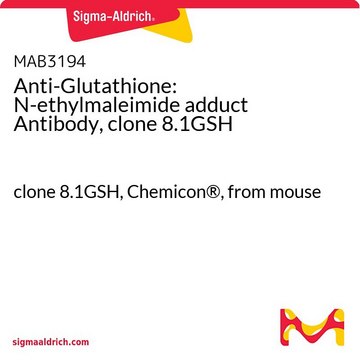 Anti-Glutathione: N-ethylmaleimide adduct Antibody, clone 8.1GSH clone 8.1GSH, Chemicon&#174;, from mouse