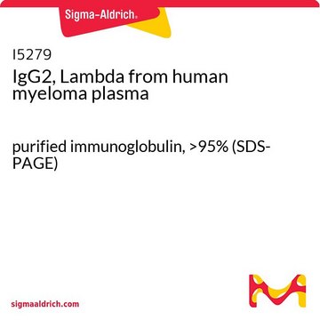 IgG2, Lambda from human myeloma plasma purified immunoglobulin, &gt;95% (SDS-PAGE)