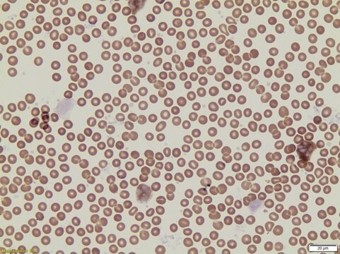 Peroxidase Indicator Reagent