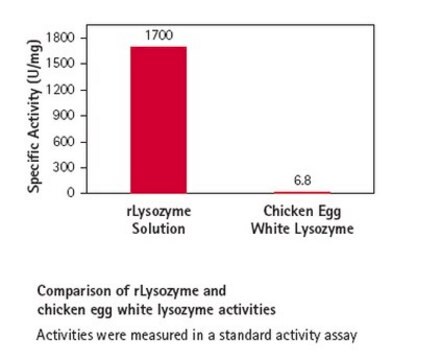 rLysozym-Lösung Stabilized recombinant lysozyme