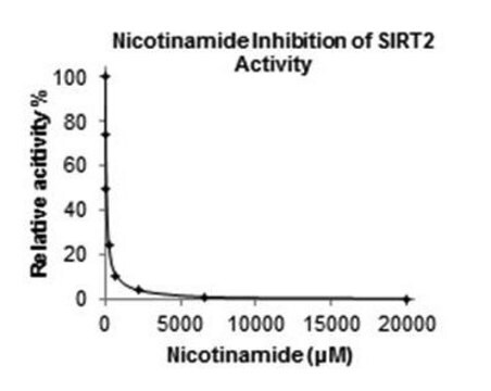 Sirtuin 2 (SIRT2) Inhibitor Screening Assay Kit 100 assays in 96 well plates