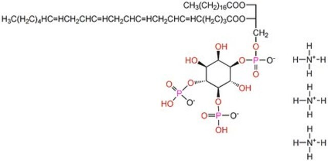 L-α-fosfatydylo-D-mio-inozytolo-4,5-bisfosforan, sól triammonowa, mózg świni A component of membrane-bound receptors in association with phospholipase C (PLC).