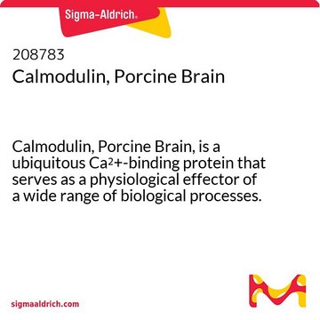 Calmodulin, Porcine Brain Calmodulin, Porcine Brain, is a ubiquitous Ca2+-binding protein that serves as a physiological effector of a wide range of biological processes. Purified from porcine brain.