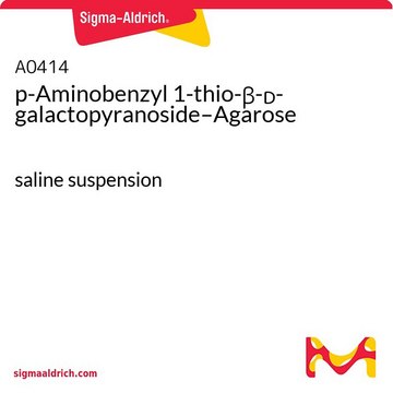 p -氨基苄基 1-硫代-&#946;- D -吡喃半乳糖苷 – 琼脂糖 saline suspension