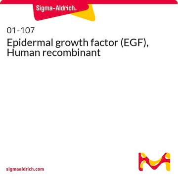 Fattore di crescita epidermico (EGF), umano, ricombinante