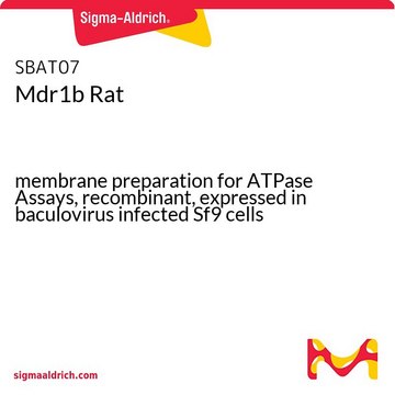 Mdr1b Rat membrane preparation for ATPase Assays, recombinant, expressed in baculovirus infected Sf9 cells