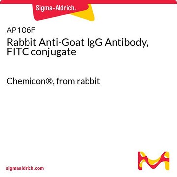 Rabbit Anti-Goat IgG Antibody, FITC conjugate Chemicon&#174;, from rabbit