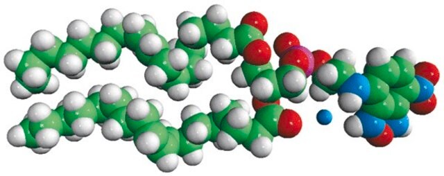 18:1 NBD PE Avanti Polar Lipids