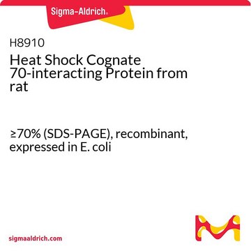 Heat Shock Cognate 70-interacting Protein from rat &#8805;70% (SDS-PAGE), recombinant, expressed in E. coli