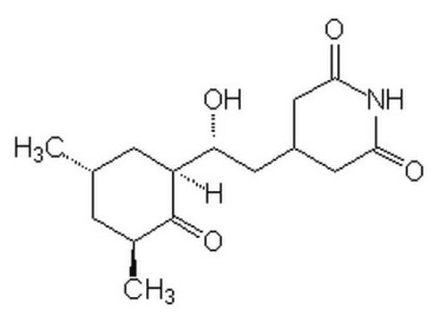 Cycloheximid Cycloheximide, CAS 66-81-9, is an antifungal antibiotic that inhibits protein synthesis in eukaryotes but not prokaryotes.