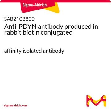 Anti-PDYN antibody produced in rabbit biotin conjugated affinity isolated antibody